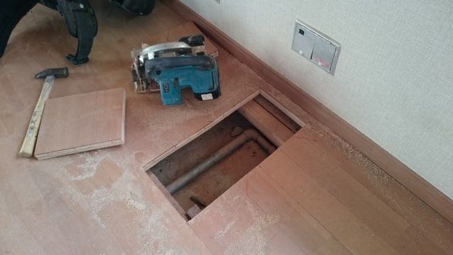 シロアリ撃退はバルサンでできる？駆除するコツや見つけたときの対処法とは