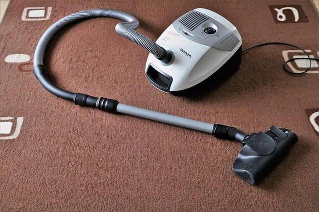 シロアリ撃退はバルサンでできる？駆除するコツや見つけたときの対処法とは