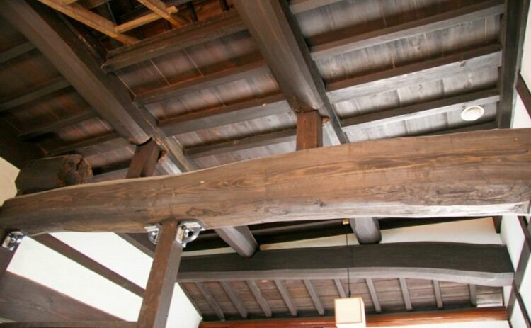 柱がシロアリ被害にあったら早急に対応を！補修方法と費用を解説