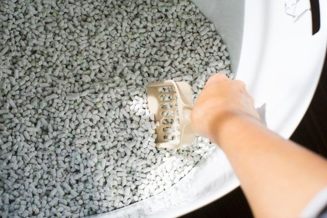 トイレに流せるはずなのに詰まった！猫砂のトイレ詰まりを解消する方法