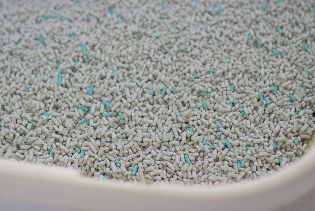 トイレに流せるはずなのに詰まった！猫砂のトイレ詰まりを解消する方法