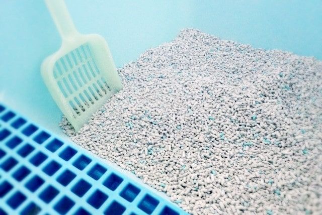 トイレつまりはサンポールで解消できるの？気になる使い方とトイレつまりのポイントを紹介！