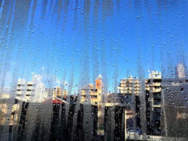 鉄骨造住宅のシロアリ被害を助長させる要因