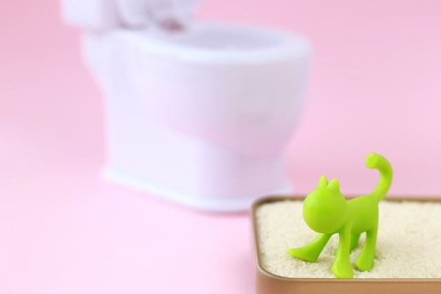 トイレに流せるはずなのに詰まった！猫砂のトイレ詰まりを解消する方法