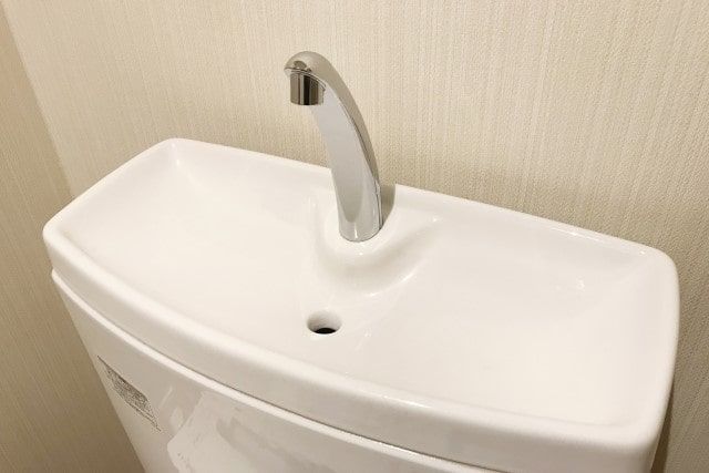 トイレに流せるはずなのに詰まった！猫砂のトイレ詰まりを解消する方法