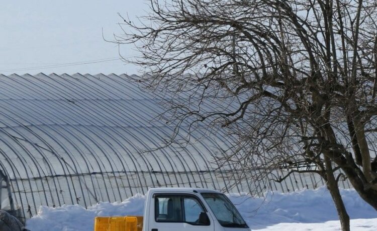 NT100クリッパーのバッテリー上がり復旧方法や交換の時期を解説