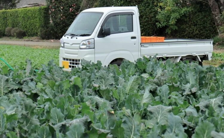 ハイゼットトラックのバッテリー上がりを解決する2つの方法を解説