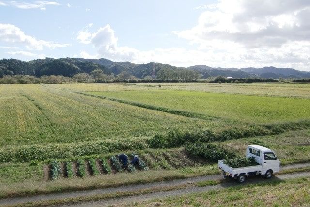 NT100クリッパーのバッテリー上がり復旧方法や交換の時期を解説