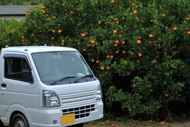 スズキ|キャリイのバッテリー上がりを復旧する方法と交換方法を解説