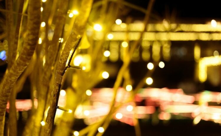 イルミネーションライトはLEDがよい?選びかたと設置方法・注意点