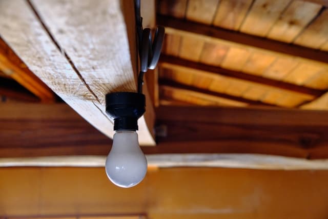 倉庫でのねずみ対策・駆除は保管物によって方法を変えるのが効果的