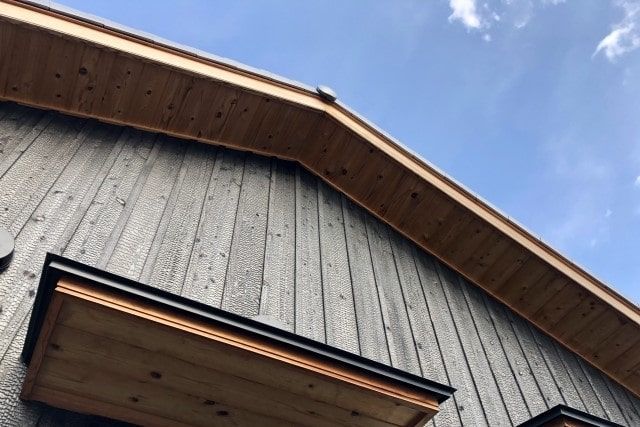 アシナガバチは『2回目』が危険！そのおそろしい症状と対処・予防法