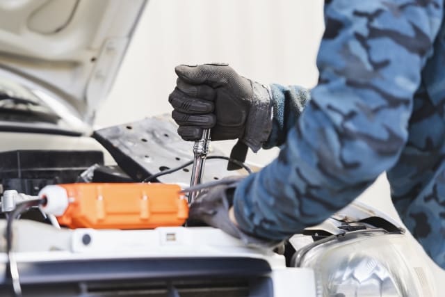 車のねずみ駆除は早めの対処が肝心！対策方法について解説！