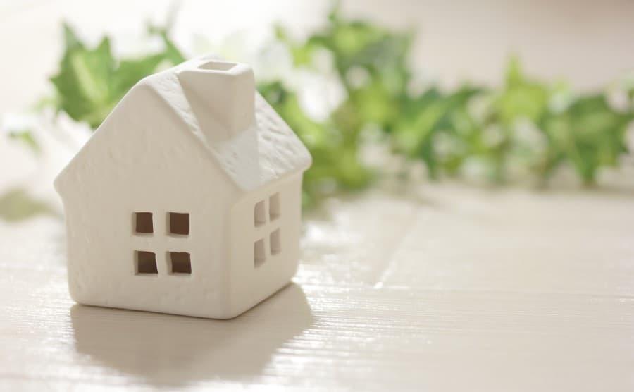 一戸建てでねずみの駆除なら業者がおすすめ!方法や費用相場とは?