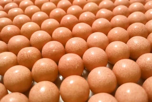 ねずみ駆除にガムはどうやって使うの。畑のモグラにも効果あり？