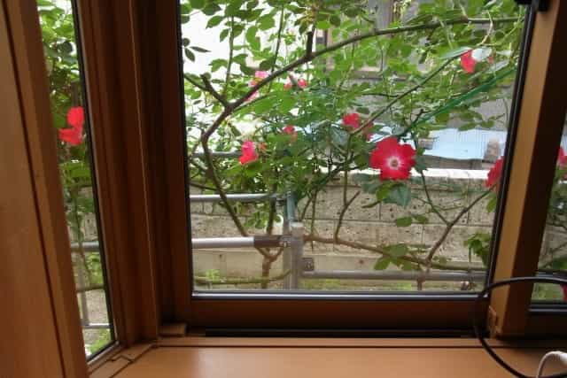 雨漏りが発生しやすい場所について