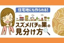 【蜂の巣】スズメバチの巣はマーブル模様！形は時期によって変わる？