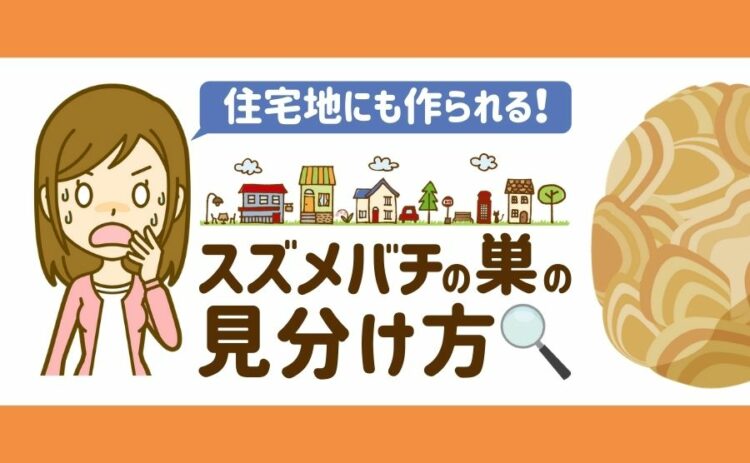 住宅地にも作られる!スズメバチの巣の見分け方