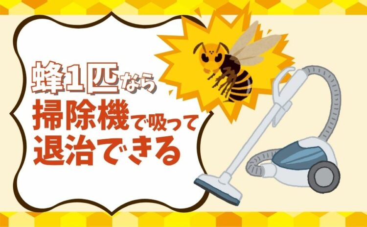 蜂1匹なら掃除機で吸って退治できる
