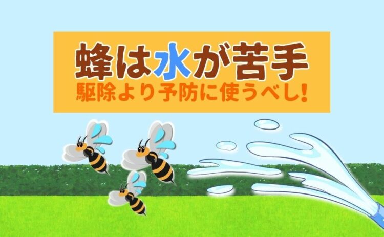蜂は水が苦手 駆除より予防に使うべし！