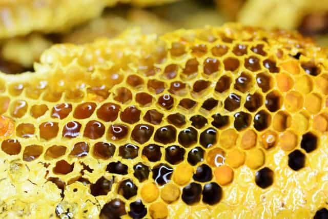 もしも巣を作られてしまったときの対処法