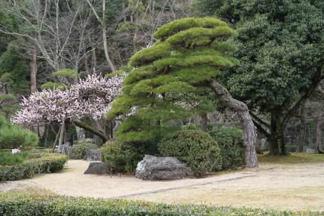 庭師とは