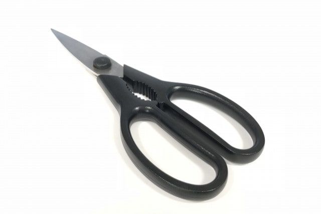 まずは剪定バサミを用意