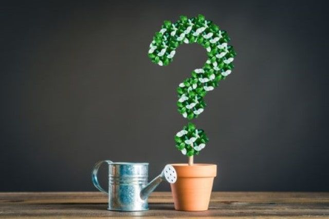 シルバー人材センターに依頼する方法とは？
