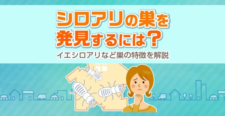 シロアリの巣の場所を発見するには？イエシロアリなど巣の特徴を解説