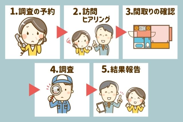 シロアリ調査の大まかな流れ