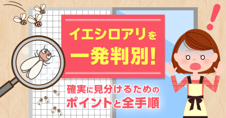 イエシロアリを一発判別！確実に見分けるためのポイントと全手順