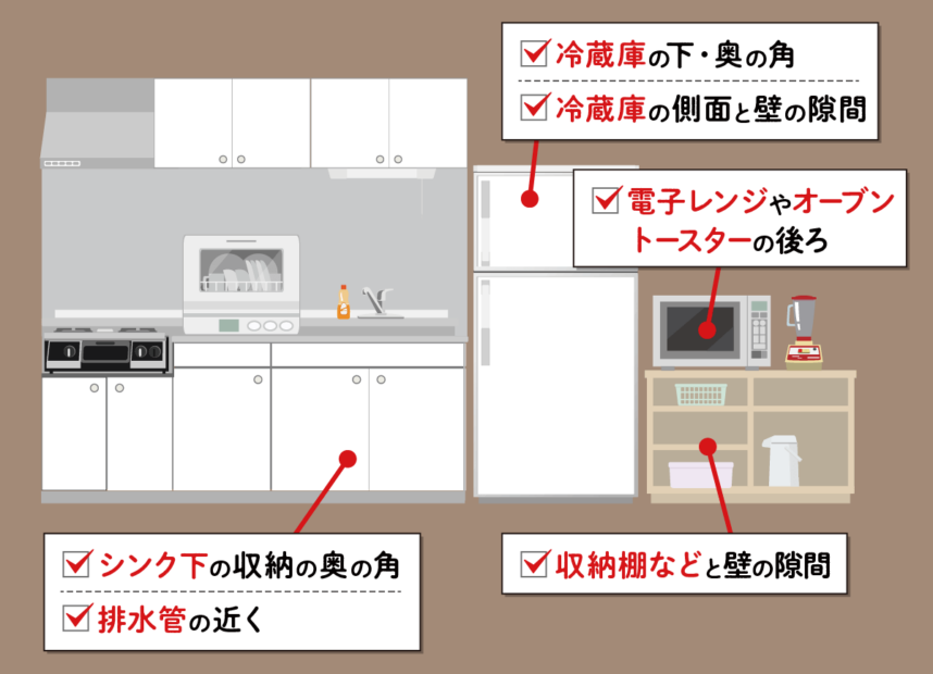 ベイト剤設置場所 キッチン