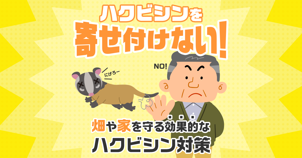 ハクビシンを寄せ付けない!畑や家を守る効果的なハクビシン対策