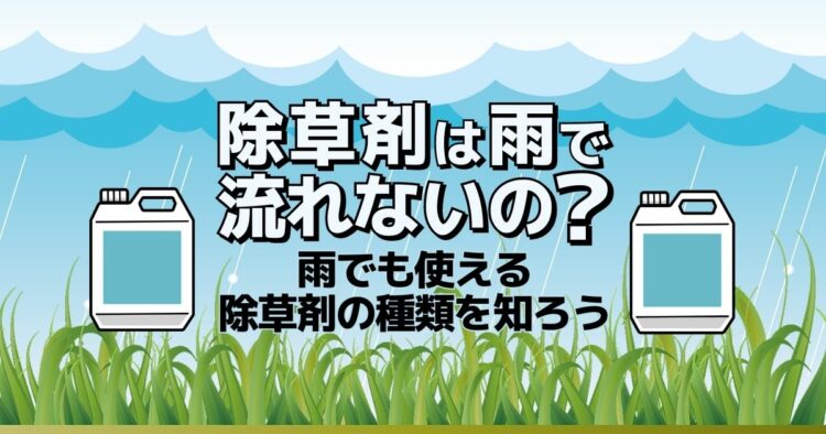 除草剤は雨で流れないの?雨でも使える除草剤の種類を知ろう