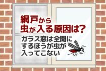 網戸から虫が入る原因は隙間！侵入を防ぐ対策法や窓の開け方をご紹介