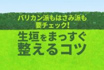 生垣は剪定方法と時期が重要！樹木の種類や簡単にできる手入れのコツ