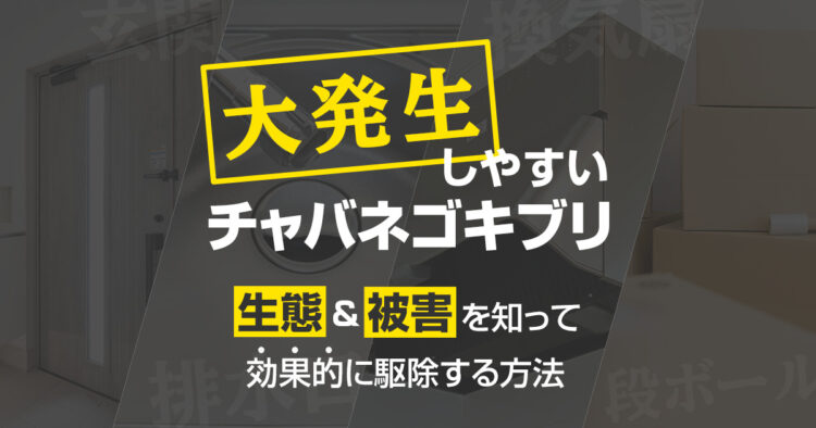 大発生しやすいチャバネゴキブリ生態&被害を知って効果的に駆除する方法