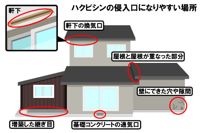 ハクビシンの侵入口になりやす場所