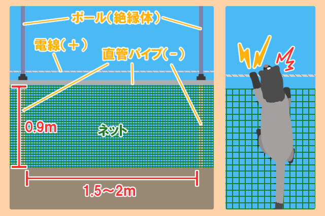 白落くん