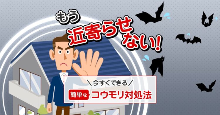 もう近寄らせない!今すぐできる簡単なコウモリ対処法