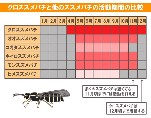 クロスズメバチ　活動期間　 比較表