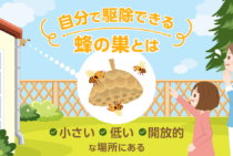 蜂の巣駆除を自分で安全にできる条件＆方法！市役所・業者の費用まとめ