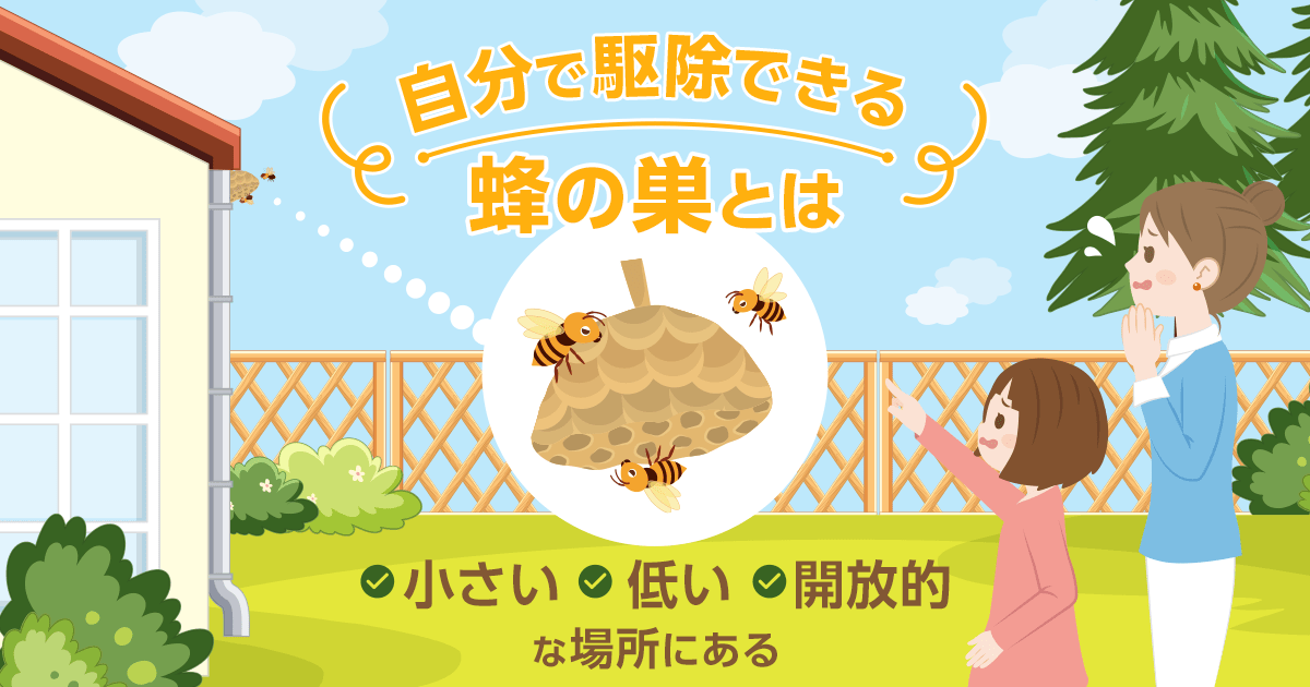 自分で駆除できる蜂の巣とは