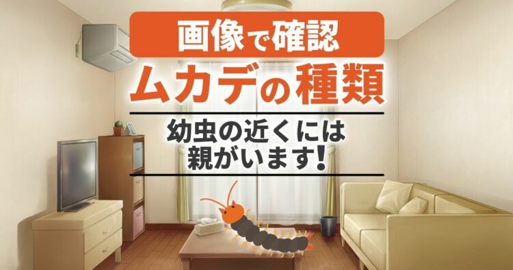 画像で確認　ムカデの種類 幼虫の近くには親がいます！