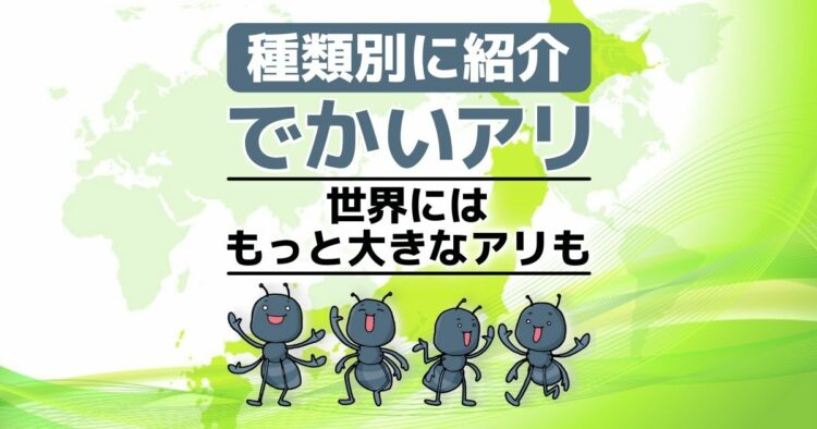 種類別に紹介　でかいアリ 世界にはもっと大きなアリも