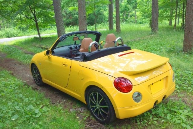 アリが入りやすい環境