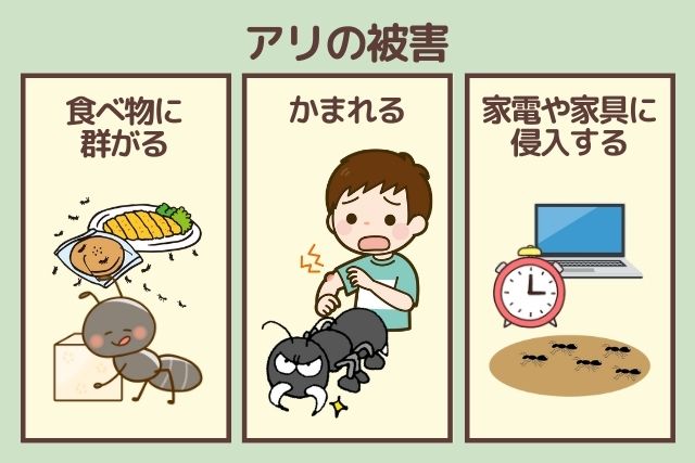 アリの被害