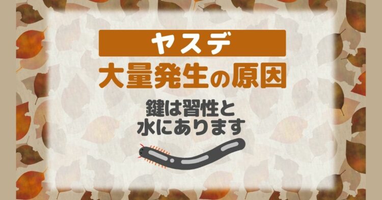 ヤスデ　大量発生の原因 鍵は習性と水にあります