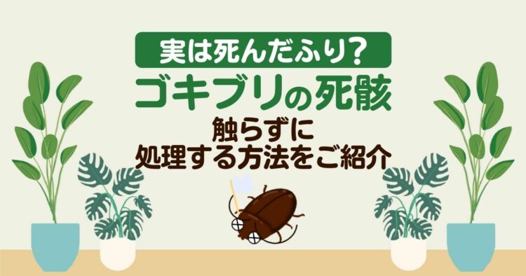 実は死んだふり？　ゴキブリの死骸 触らずに処理する方法をご紹介