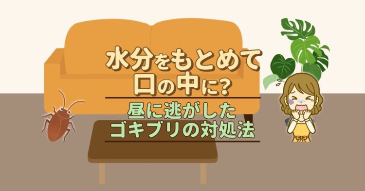 水分をもとめて口の中に？ 昼に逃がしたゴキブリの対処法